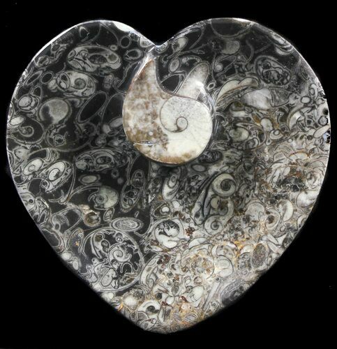 Heart Shaped Fossil Goniatite Dish #39353